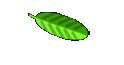 Ideas for gardens 
 Home Page