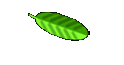 Complimentary Links
